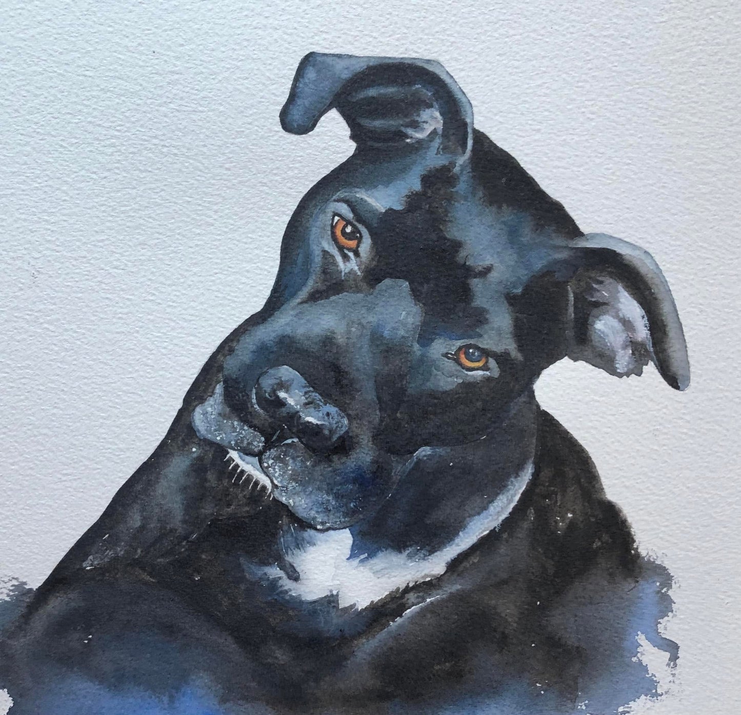 Artistic watercolor portrait depiction of a Maveric, a black dog with a blueish tint on a light gray background
