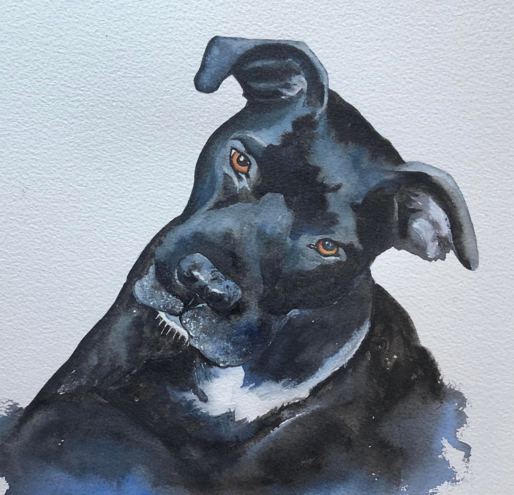 Artistic watercolor portrait depiction of a Maveric, a black dog with a blueish tint on a light gray background
