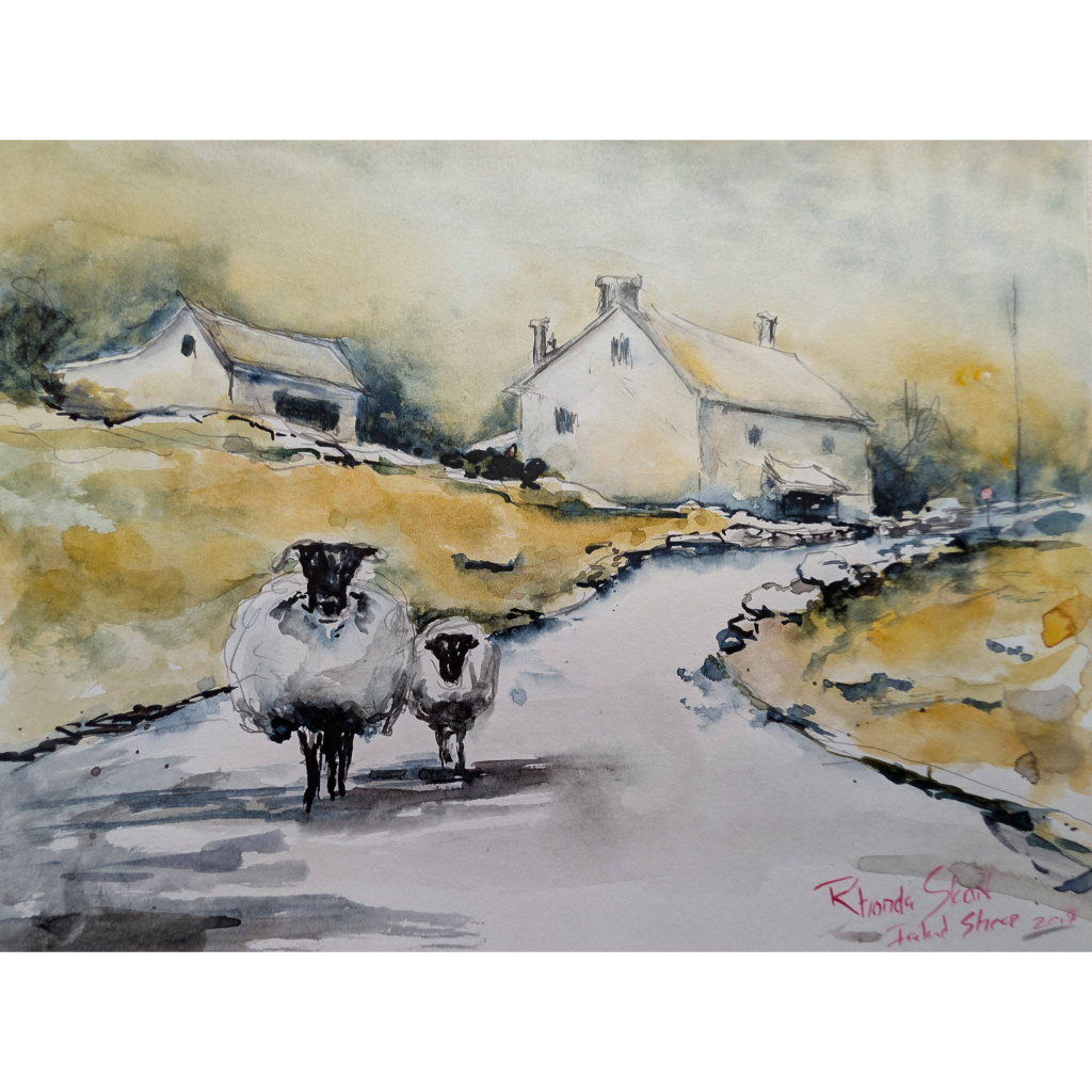 Momma and baby sheep walking down a gravel road in Ireland